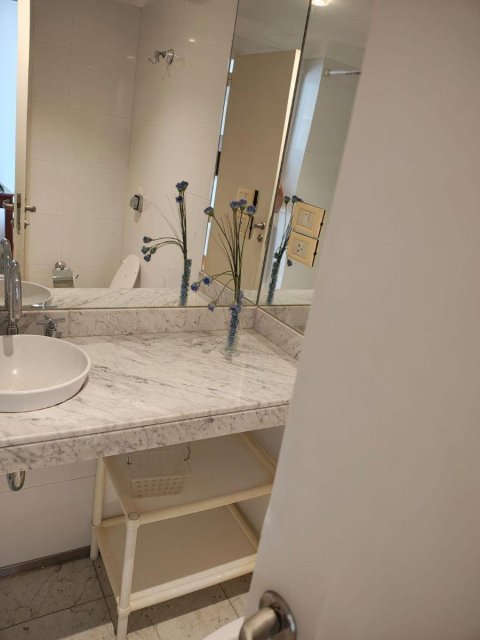 Raúl Scalabrini Ortiz 2680, Botánico, Palermo Palermo Departamento 2  ambientes  En Alquiler -4