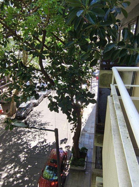 Lafinur 3300 Palermo Departamento 4  ambientes  En Venta -11